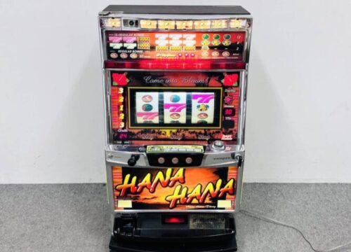 HANAHANA30