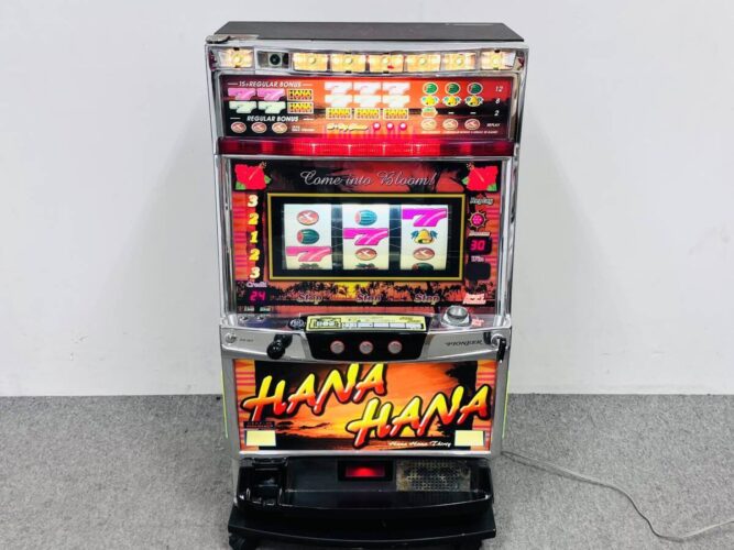 HANAHANA30