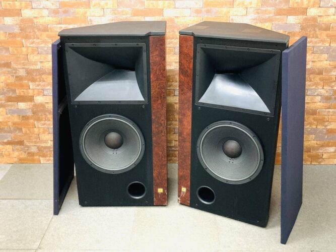 S3100